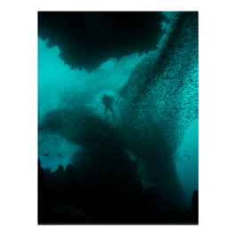 Póster Enxame do Fundo – Oceano de Divers e Cardume