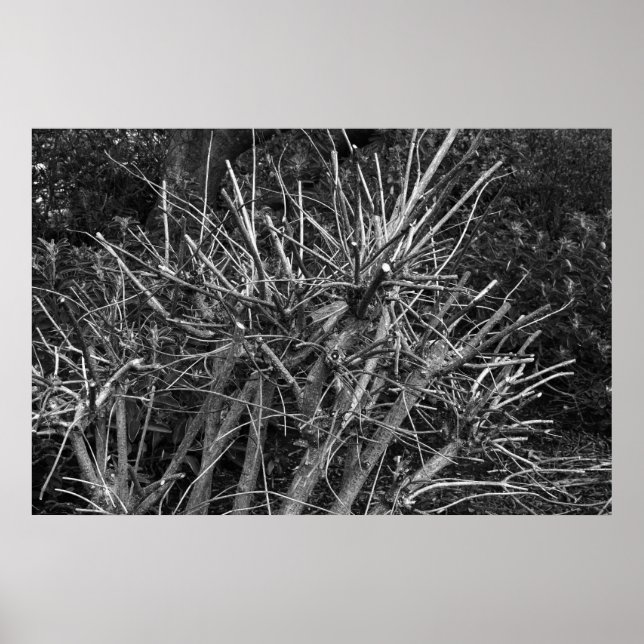 Poster Enxoval (Frente)