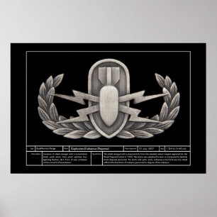 Póster EOD 2 técnicos