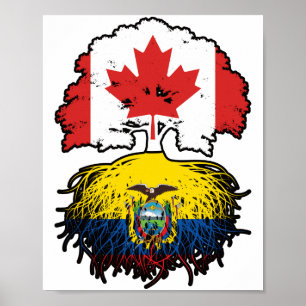 Poster Equador, Equador, Canadá, raízes de árvores