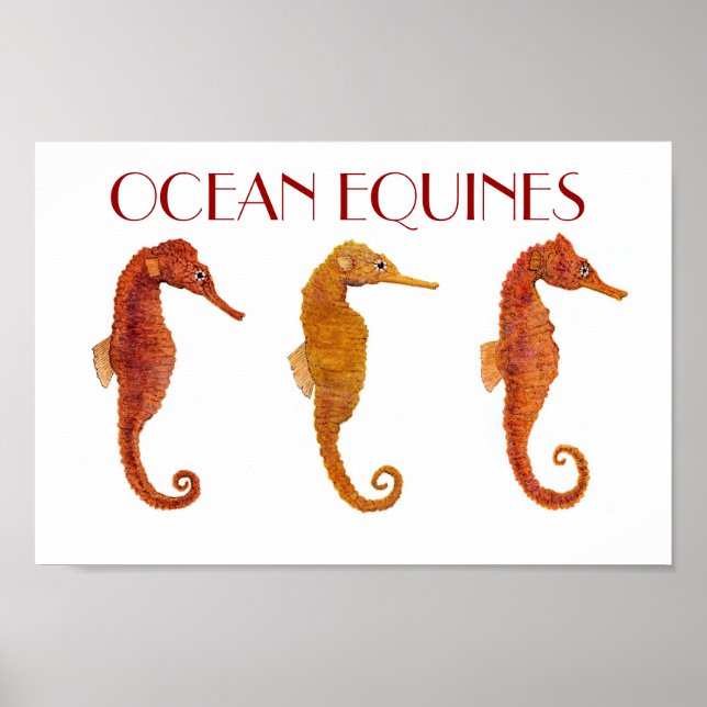 Poster Equídeos oceânicos (Frente)