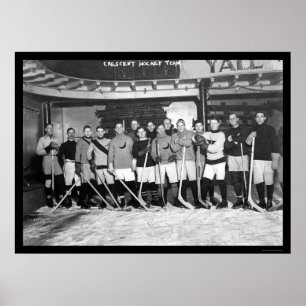 Póster Equipa de hóquei crescente em New York 1911