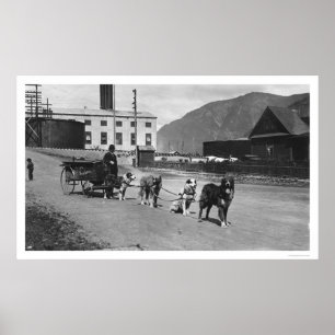 Poster Equipe Alaska 1904 do cão da lavanderia
