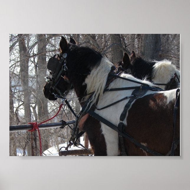 Poster Equipe de Rascunho de Pinto (Frente)