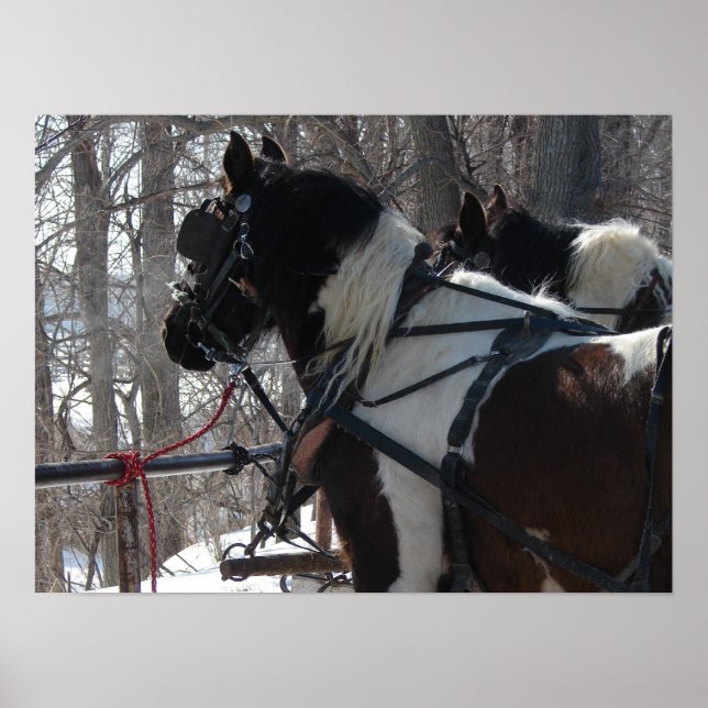 Póster Equipe de Rascunho de Pinto (Frente)