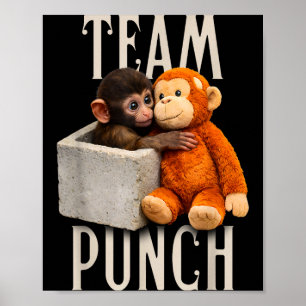 Poster Equipe de soco de macaco bebê soco
