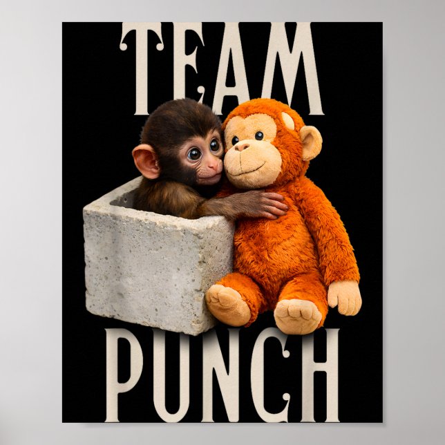 Poster Equipe de soco de macaco bebê soco  (Frente)