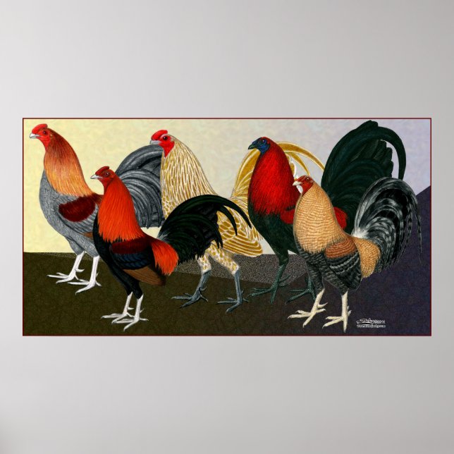 Póster Equipe de Sonhos de Rooster (Frente)