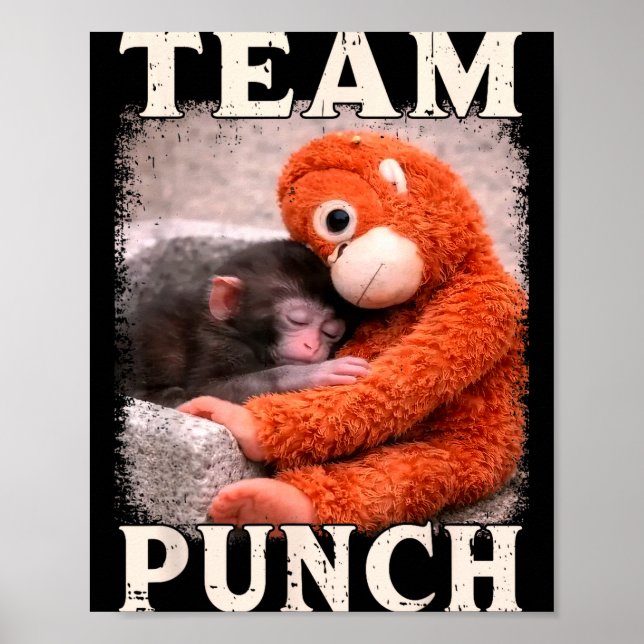 Poster Equipe de tendência de meme de soco de macaco bebê (Frente)