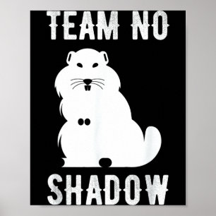 Poster Equipe Divertida de Meteorologia Sem Sombra Ground