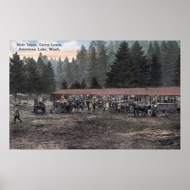 Póster Equipe Mule no Campo Lewis (Frente)