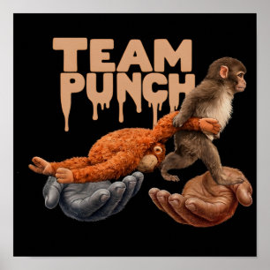 Poster Equipe Soco Gotejando Macaco Japonês