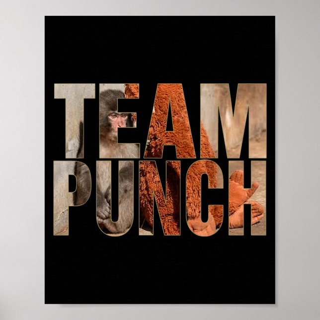 Poster Equipe soco macaco engraçado meme bebê macaco home (Frente)