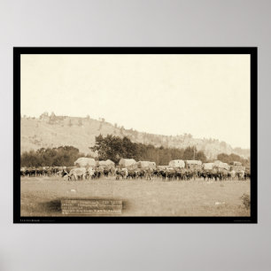 Póster Equipes & vagões do boi que transportam Black