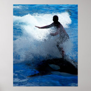 Poster Equitação do instrutor na fotografia da orca da