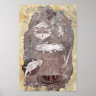 Poster Era Paleozoic