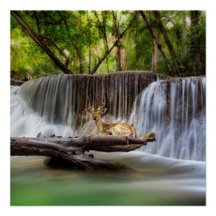 Póster Erawan Waterfall com Deer Relaxing