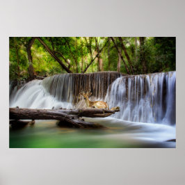 Poster Erawan Waterfall com Deer Relaxing