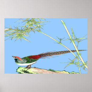 Poster ereto do faisão que tira 7