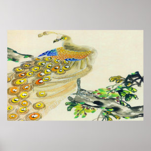 Poster ereto do pavão que tira 1