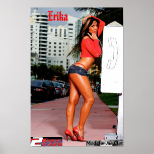 Póster Erika - finalista do afinador 2Wheel