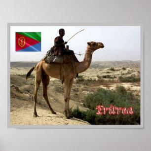 Poster Eritreia - Camel -