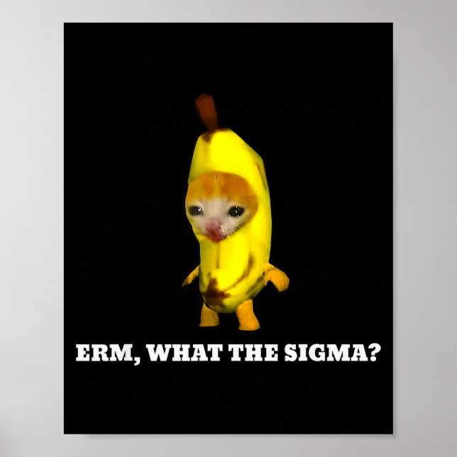 Poster Erm, Qual Sigma_ Meme de Gato Homens Mulheres Garo (Frente)