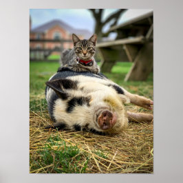 Poster Ernest & Sassy Impressão!