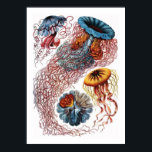 Poster Ernst Haeckel Jellyfish<br><div class="desc">Ernst Haeckel Jellyfish</div>