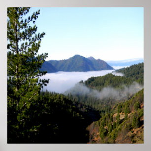 Poster Erro de nevoeiro matinal......