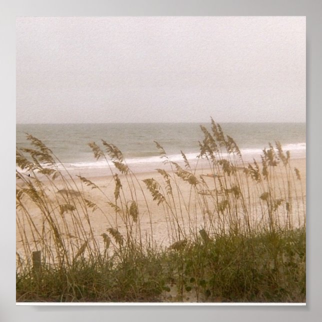 Poster ervas daninhas (Frente)