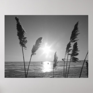 Poster Ervilhas brancas e pretas