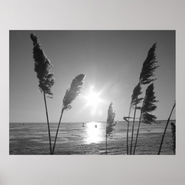 Poster Ervilhas brancas e pretas (Frente)