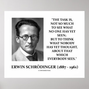 Póster Erwin Schrödinger Task Acha Que Ninguém Pensou Ain