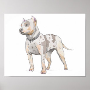 Poster Esboço branco da aguarela do cão do pitbull