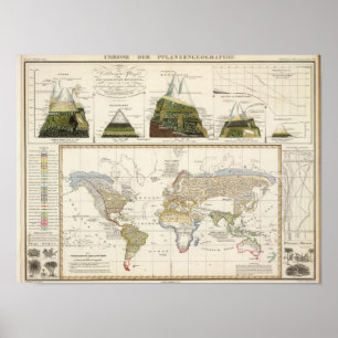 Póster Esboço da geografia da planta