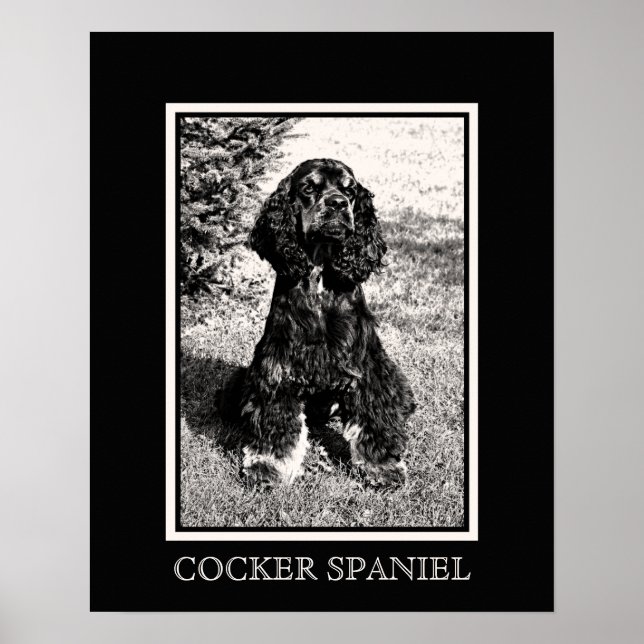 Póster Esboço de Cocker Spaniel (Frente)