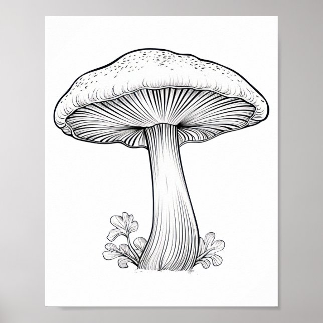 Poster Esboço de cogumelo desenho a lápis, desenho animad (Frente)