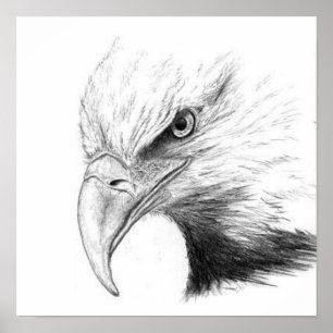 PÓSTER ESBOÇO DE EAGLE