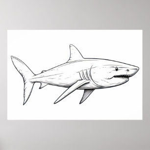 Poster Esboço de tubarão
