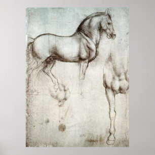 Poster Esboço do cavalo