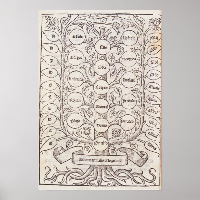 Poster Escada celestial (Frente)