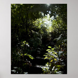 Póster Escadaria/passeio rústicos na floresta, luz solar