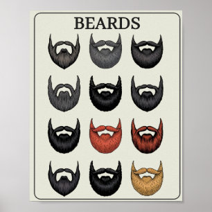 Poster Escala de Avaliação de Barba Arte Divertida para