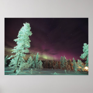 Póster Escandinávia, Finlândia, Lapónia, Kakslauttanen