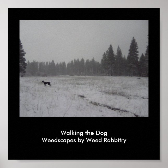 Póster Escapas de ervas daninhas por Rabite de Erva (Frente)