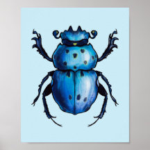 Escaravelho Escarlate Art Blue Entomology Insetect