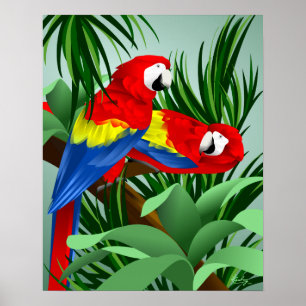 Póster Escarlate dos Macaws dois