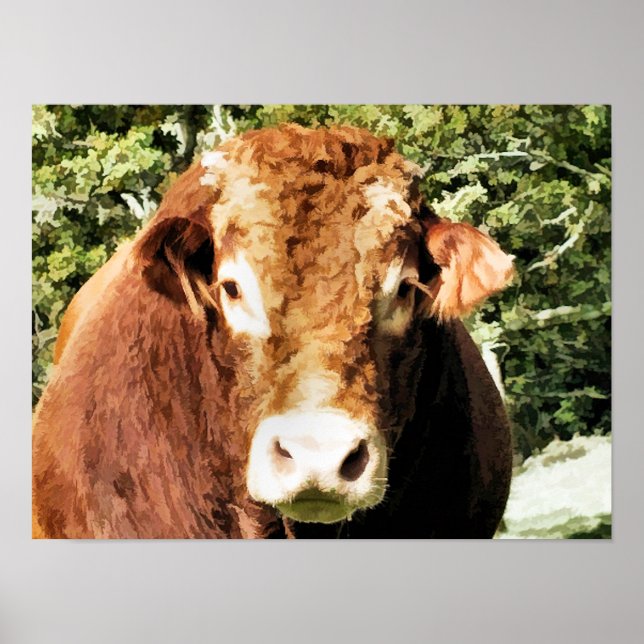 POSTER ESCOLA (Frente)