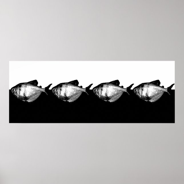 Poster Escola Tetra de Camisa Negra (Frente)